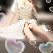 ヒメ日記 2026/04/01 11:27 投稿 あじさい I❤HIMEJI（アイラブ姫路）