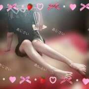 ヒメ日記 2026/04/29 07:54 投稿 あじさい I❤HIMEJI（アイラブ姫路）