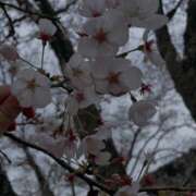ヒメ日記 2026/04/13 20:27 投稿 あまね I❤HIMEJI（アイラブ姫路）