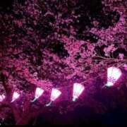 ヒメ日記 2026/03/29 22:09 投稿 れいか アート姫