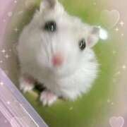 ヒメ日記 2026/04/06 20:07 投稿 甘噛つきか＠職業：AV痴女優 アナラードライ