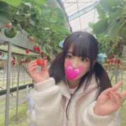 ヒメ日記 2026/04/28 06:17 投稿 ありす 川崎ソープ SAPPHIER -サファイア-