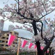 ヒメ日記 2026/05/11 22:37 投稿 ありす 川崎ソープ SAPPHIER -サファイア-