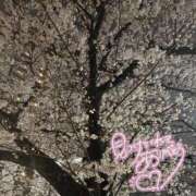 ヒメ日記 2026/03/29 12:09 投稿 ゆりの サティアンまーと