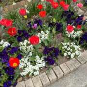 ヒメ日記 2026/03/28 17:54 投稿 きよみ 熟女の風俗最終章 仙台店