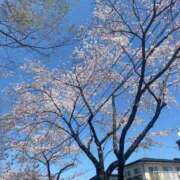 ヒメ日記 2026/04/11 17:04 投稿 きよみ 熟女の風俗最終章 仙台店