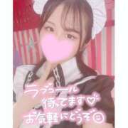 ヒメ日記 2026/03/22 09:43 投稿 コトネ 川崎美女革命