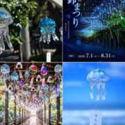 ヒメ日記 2026/07/03 14:16 投稿 とが 久留米デリヘルセンター
