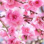 ヒメ日記 2026/03/18 19:35 投稿 ももか 明石の熟女達・女華