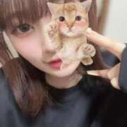 ヒメ日記 2026/04/20 15:00 投稿 ねね Gossip girl成田店