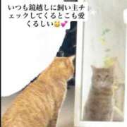 御堂 みゆ 私の子供 〜長男編〜 プルプルハウス