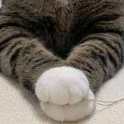 ヒメ日記 2026/03/27 08:50 投稿 さら ぷるるんマダム 十三店