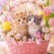 ヒメ日記 2026/03/31 04:30 投稿 さら ぷるるんマダム 十三店