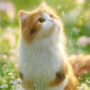 ヒメ日記 2026/04/03 17:20 投稿 さら ぷるるんマダム 十三店