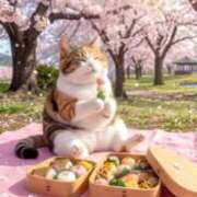 ヒメ日記 2026/04/07 14:33 投稿 さら ぷるるんマダム 十三店