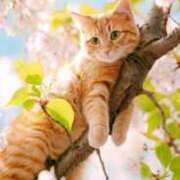 ヒメ日記 2026/04/08 04:50 投稿 さら ぷるるんマダム 十三店