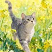 ヒメ日記 2026/04/09 06:00 投稿 さら ぷるるんマダム 十三店