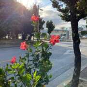 ヒメ日記 2026/03/26 14:49 投稿 るん アネックスジャパン