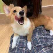 ヒメ日記 2026/09/09 09:44 投稿 桃果-ももか- 人妻倶楽部 花椿大崎店