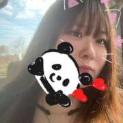 ヒメ日記 2026/03/20 12:30 投稿 くま 奥様特急新潟店