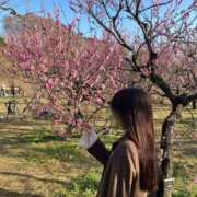 ヒメ日記 2026/04/03 09:37 投稿 さら 優しいM性感 五反田