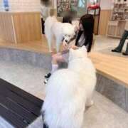 ヒメ日記 2026/04/09 06:57 投稿 さら 優しいM性感 五反田