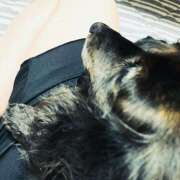 ヒメ日記 2026/03/23 22:50 投稿 吉高 HERMINE-エルミネ-