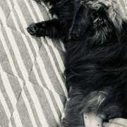 ヒメ日記 2026/03/28 08:36 投稿 吉高 HERMINE-エルミネ-