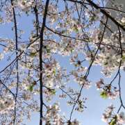 吉高 こんにちは HERMINE-エルミネ-