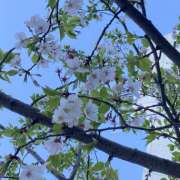 ヒメ日記 2026/04/03 08:49 投稿 吉高 HERMINE-エルミネ-