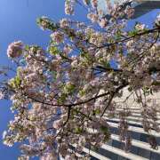 ヒメ日記 2026/04/09 22:37 投稿 吉高 HERMINE-エルミネ-