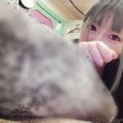 ヒメ日記 2026/03/23 10:15 投稿 はるひ MAHARAJA(マハラジャ)千葉