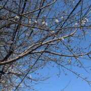 あん 次回の出勤 大宮おかあさん