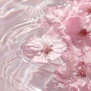 ヒメ日記 2026/03/21 12:07 投稿 もか Anemone渋谷店