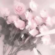 ヒメ日記 2026/04/09 00:17 投稿 もか Anemone渋谷店