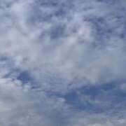 ヒメ日記 2026/07/30 06:59 投稿 日野樹 五十路マダム 田辺店