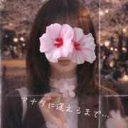 ヒメ日記 2026/04/07 23:42 投稿 平(たいら) 相模原人妻城