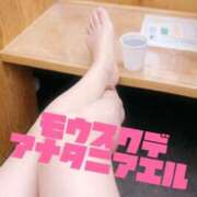 ヒメ日記 2026/04/09 11:42 投稿 平(たいら) 相模原人妻城