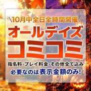 ヒメ日記 2026/10/16 10:15 投稿 まゆ 丸妻 横浜本店