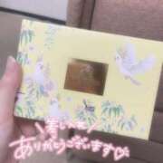 さな お礼♡ 高級オナクラ　ひよこクラブ