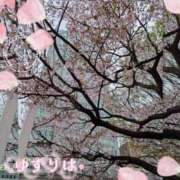 ヒメ日記 2026/03/28 13:45 投稿 ゆずりは 奥様はエンジェル　国分寺店