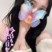 みみ 💠 出勤 💠 DCP