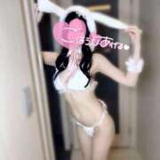 ヒメ日記 2026/03/20 15:01 投稿 みみ 京都デリヘル倶楽部