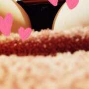 ヒメ日記 2026/03/25 09:12 投稿 月城　かほ 雅(みやび)