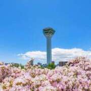 ヒメ日記 2026/03/25 10:12 投稿 月城　かほ 雅(みやび)