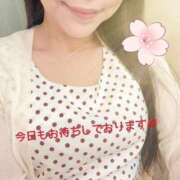 ヒメ日記 2026/04/02 09:52 投稿 あかね 梅田アバンチュール