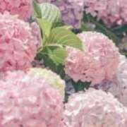 ヒメ日記 2026/06/05 08:12 投稿 あかね 梅田アバンチュール