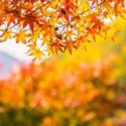 ヒメ日記 2026/10/11 11:12 投稿 あかね 梅田アバンチュール