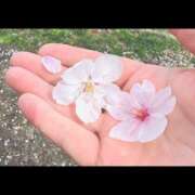 ヒメ日記 2026/04/08 00:47 投稿 さいり ハピネス東京