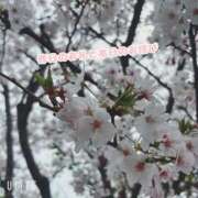 ヒメ日記 2026/04/05 23:14 投稿 小春ひより 癒したくて成田店～日本人アロマ性感～